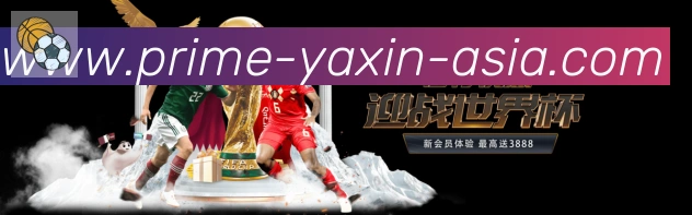 亚新体育平台生态图